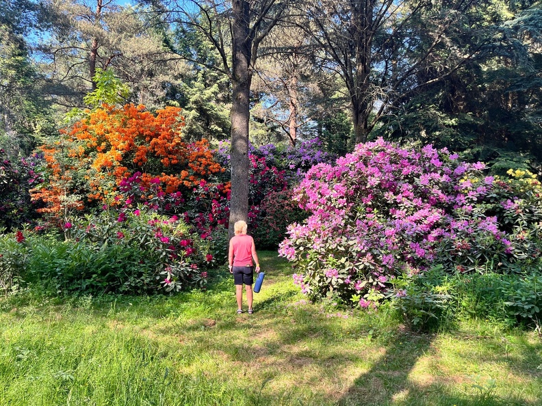 23-06-03 17-06-40 5816.jpeg